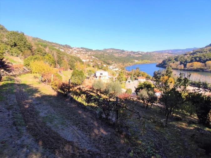 Terreno para Venda em Bem Viver Foto 2
