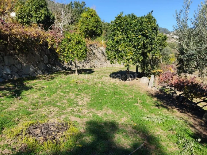 Terreno para Venda em Bem Viver Foto 12