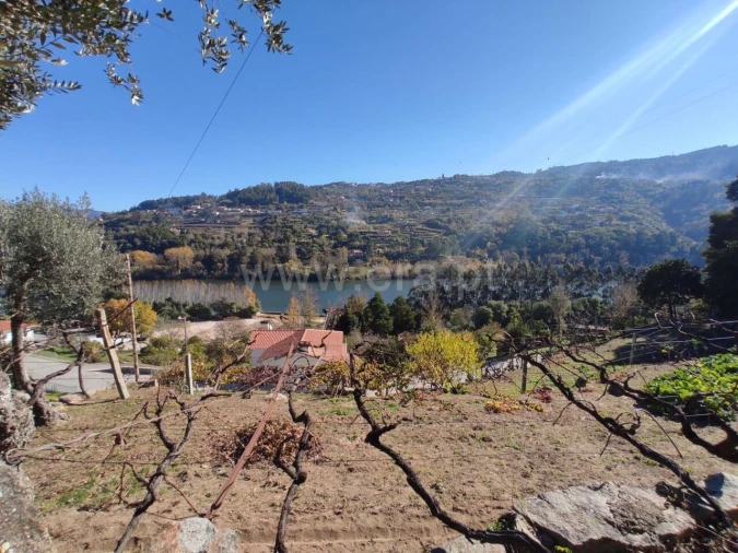 Terreno para Venda em Bem Viver Foto 9