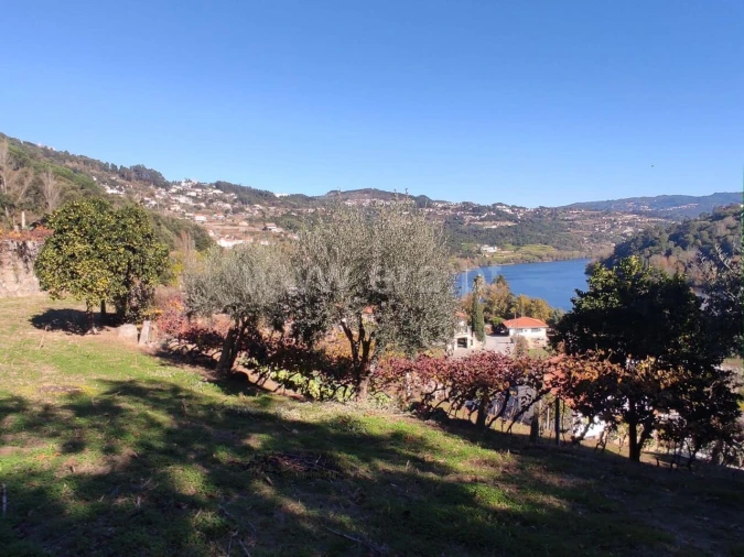 Terreno para Venda em Bem Viver Foto 13