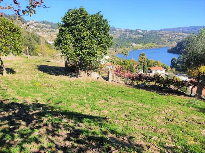 Terreno para Venda em Bem Viver Foto 3