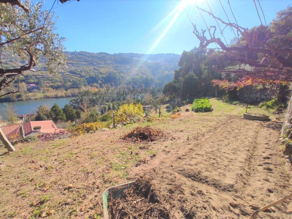 Terreno para Venda em Bem Viver Foto 8
