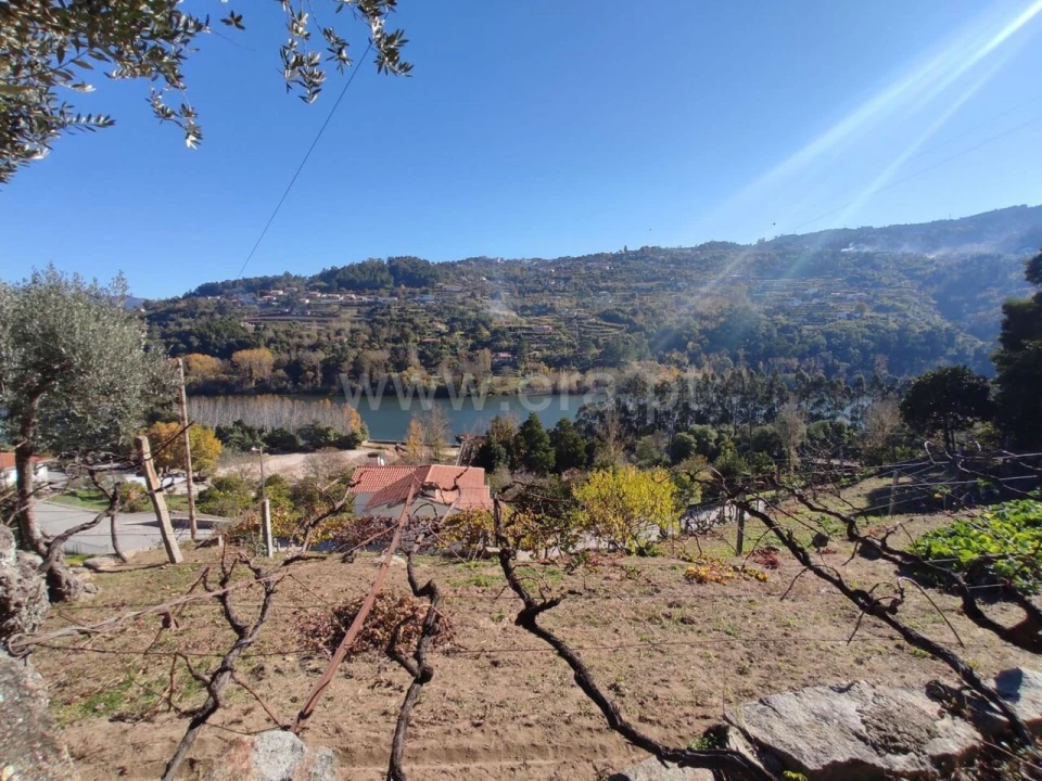 Terreno para Venda em Bem Viver Foto 9