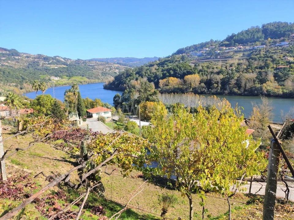 Terreno para Venda em Bem Viver Foto 6