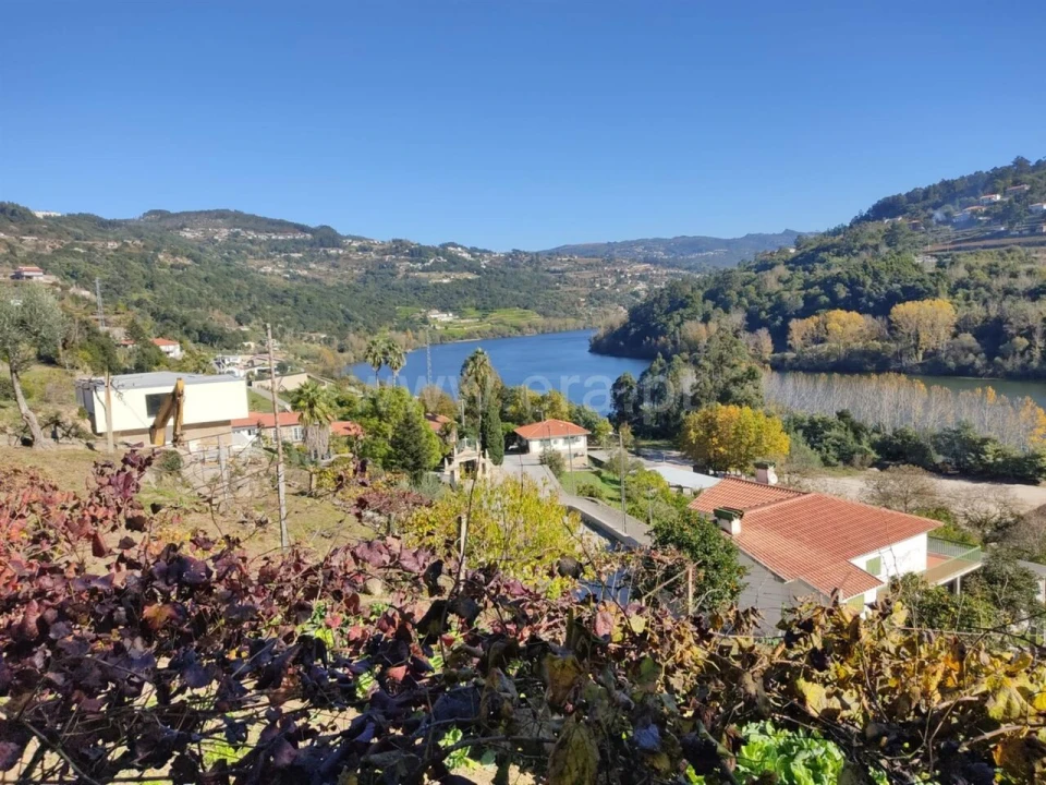 Terreno para Venda em Bem Viver Foto 11