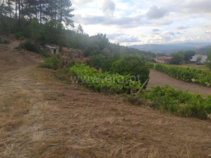 Terreno para Venda em Paredes de Viadores e Manhuncelos Foto 13