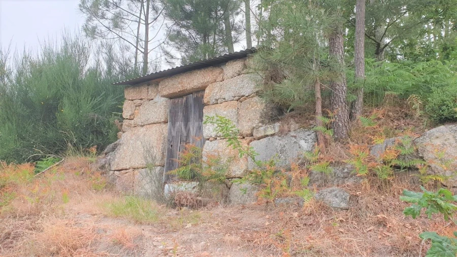 Terreno para Venda em Paredes de Viadores e Manhuncelos Foto 9