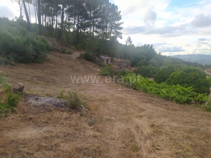 Terreno para Venda em Paredes de Viadores e Manhuncelos Foto 14