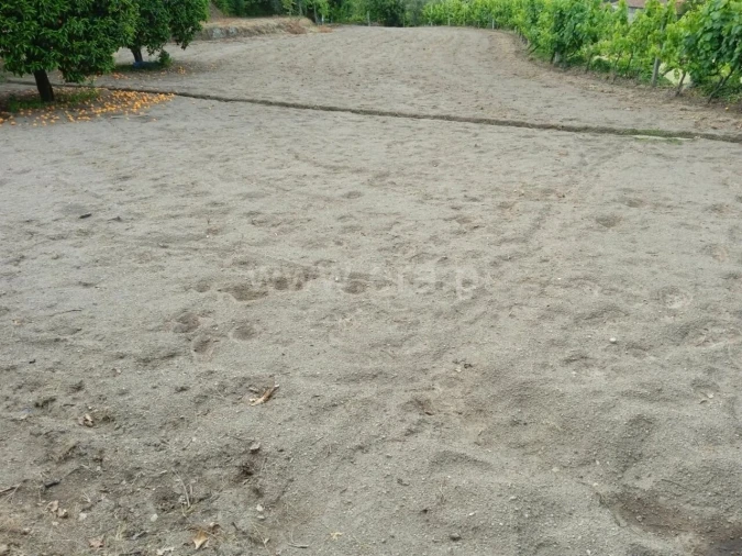 Terreno para Venda em Paredes de Viadores e Manhuncelos Foto 11