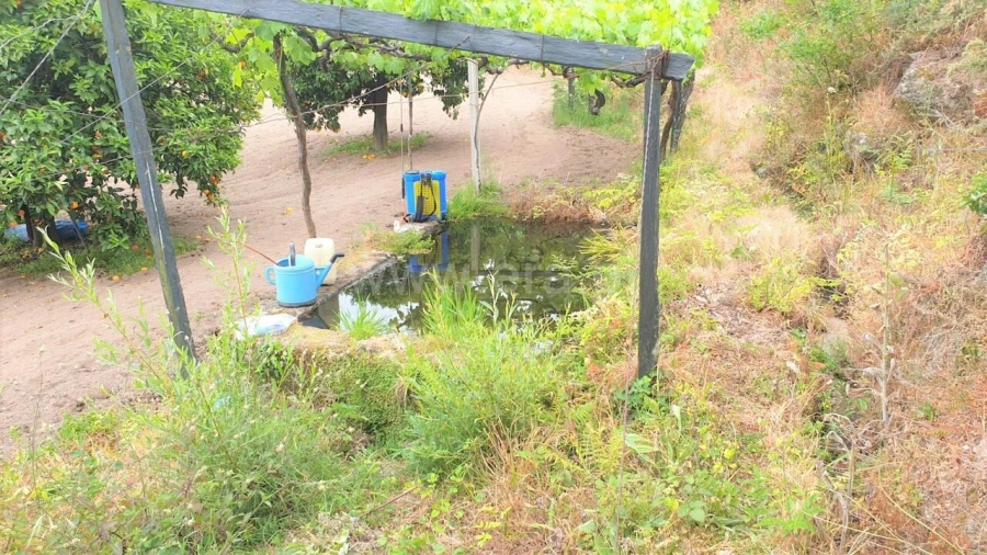 Terreno para Venda em Paredes de Viadores e Manhuncelos Foto 8