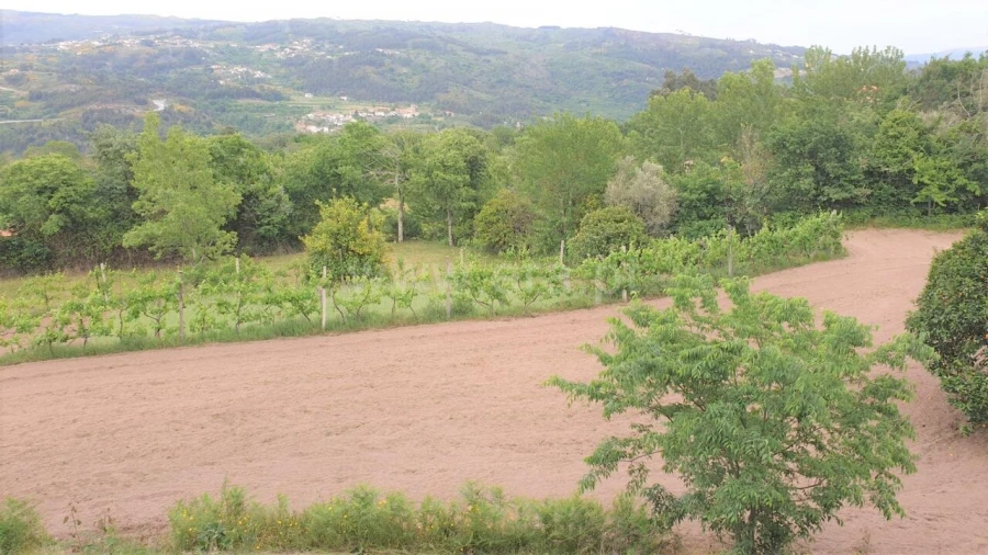 Terreno para Venda em Paredes de Viadores e Manhuncelos Foto 1