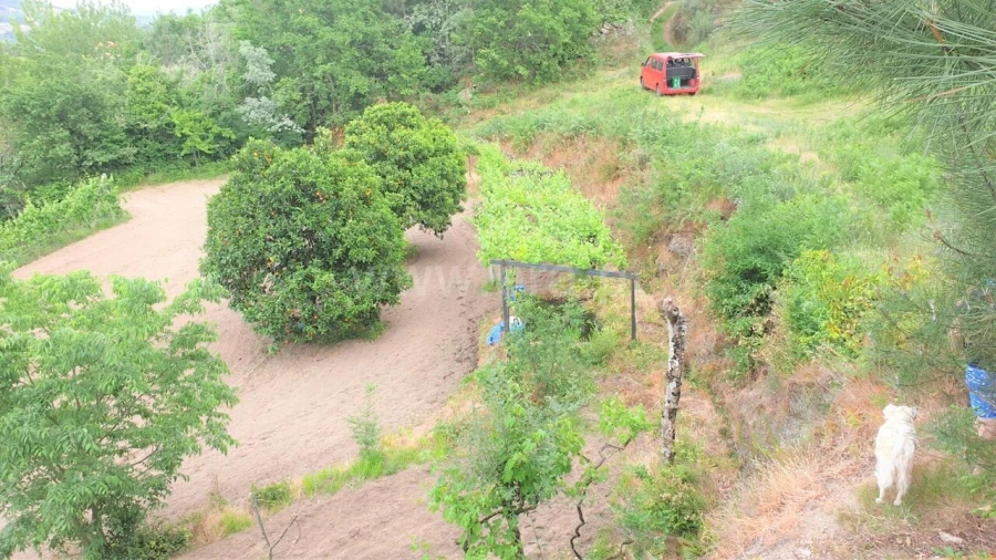 Terreno para Venda em Paredes de Viadores e Manhuncelos Foto 3