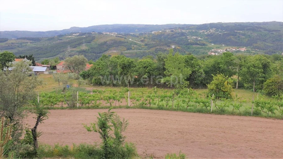 Terreno para Venda em Paredes de Viadores e Manhuncelos Foto 4