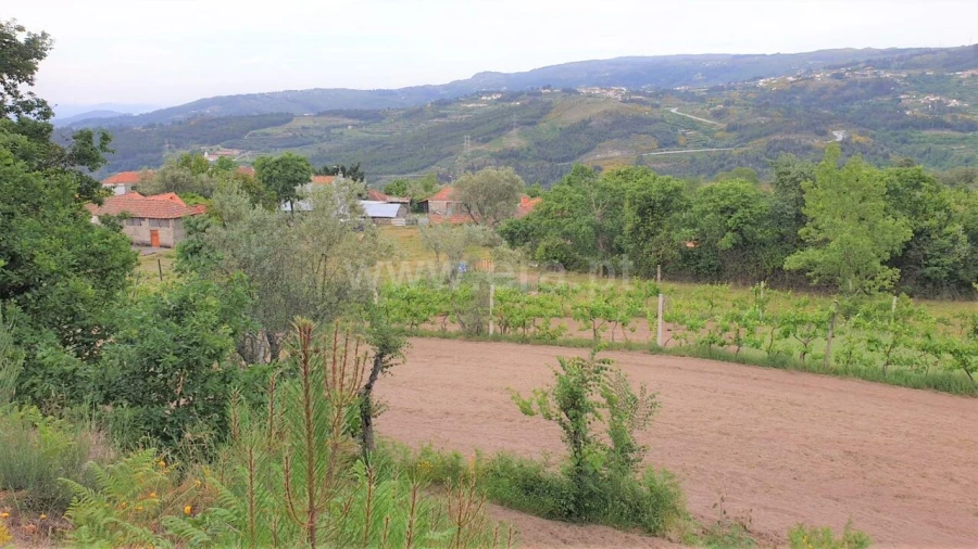 Terreno para Venda em Paredes de Viadores e Manhuncelos Foto 2