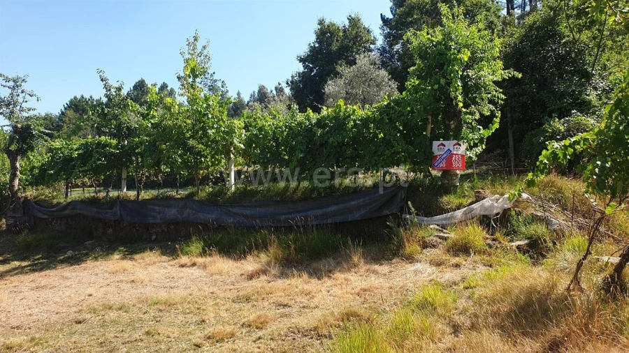 Terreno para Venda em Paredes de Viadores e Manhuncelos Foto 15