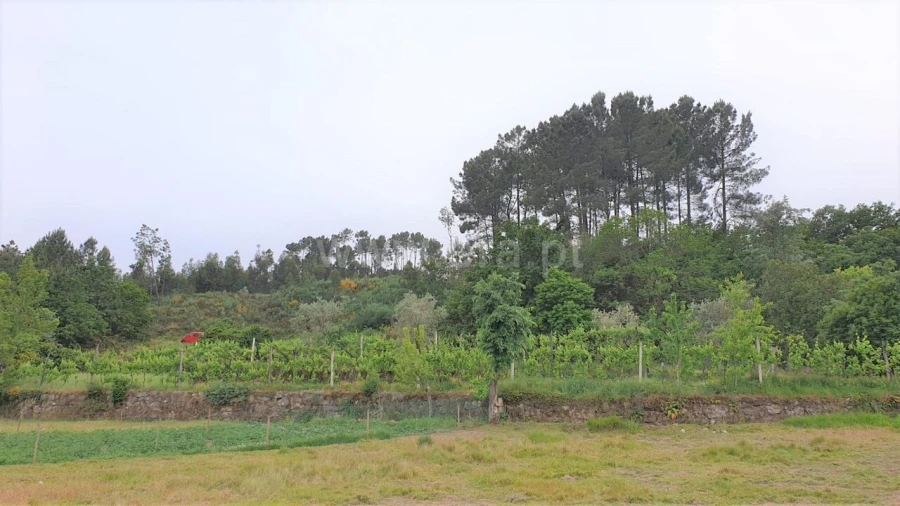 Terreno para Venda em Paredes de Viadores e Manhuncelos Foto 7