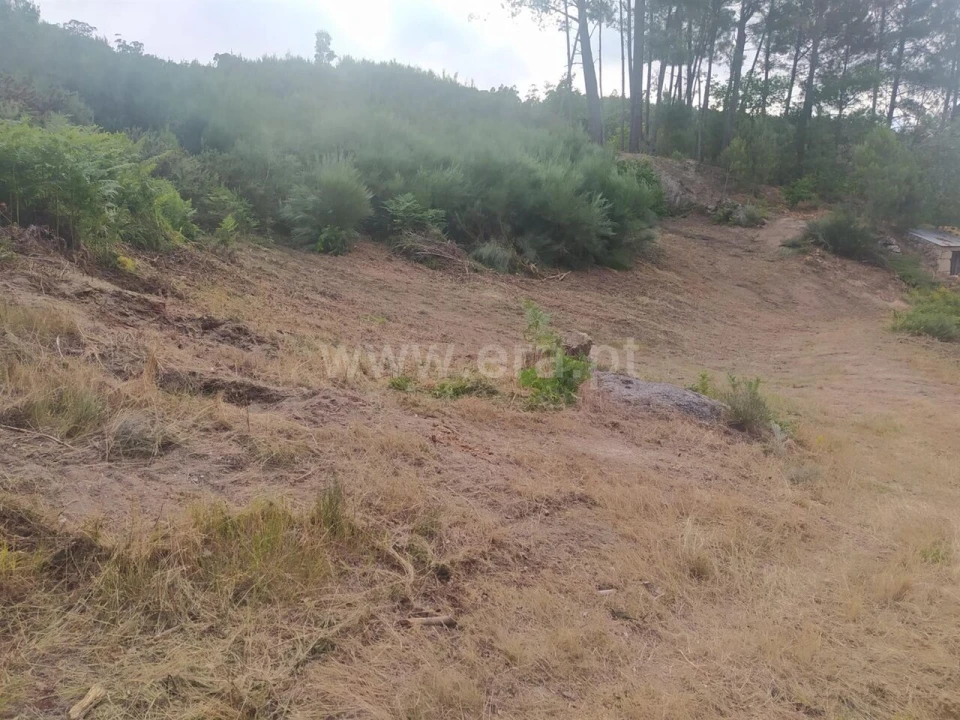 Terreno para Venda em Paredes de Viadores e Manhuncelos Foto 10