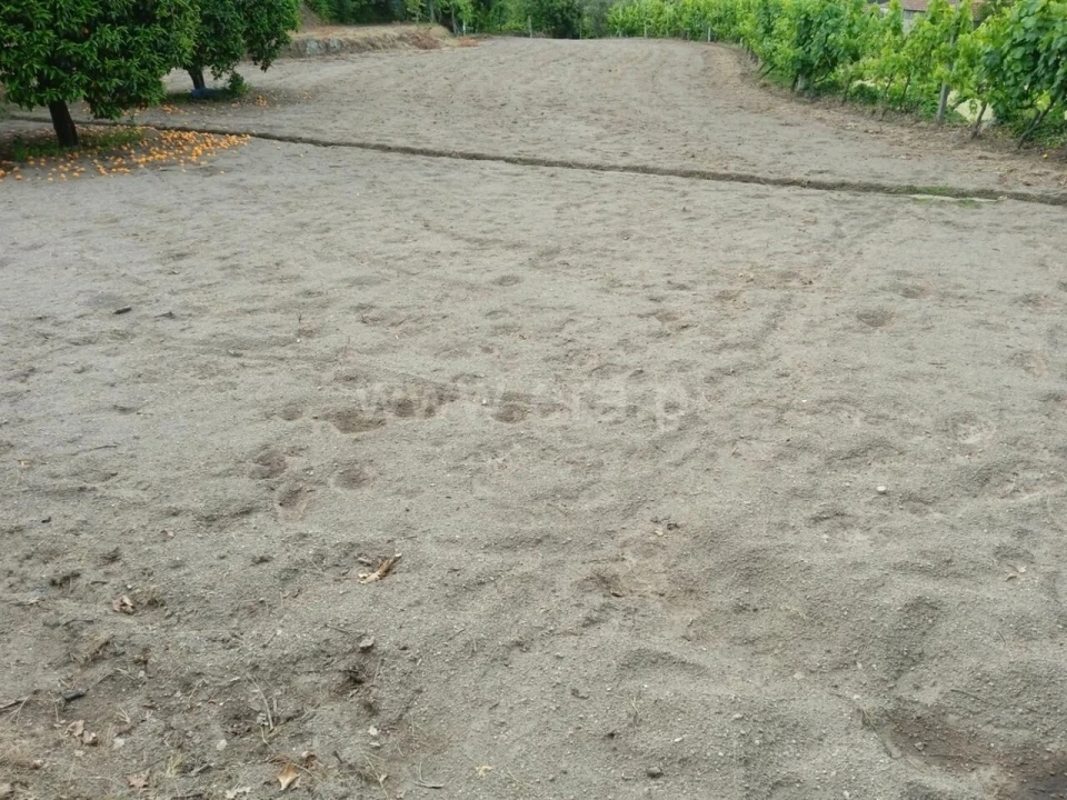 Terreno para Venda em Paredes de Viadores e Manhuncelos Foto 11