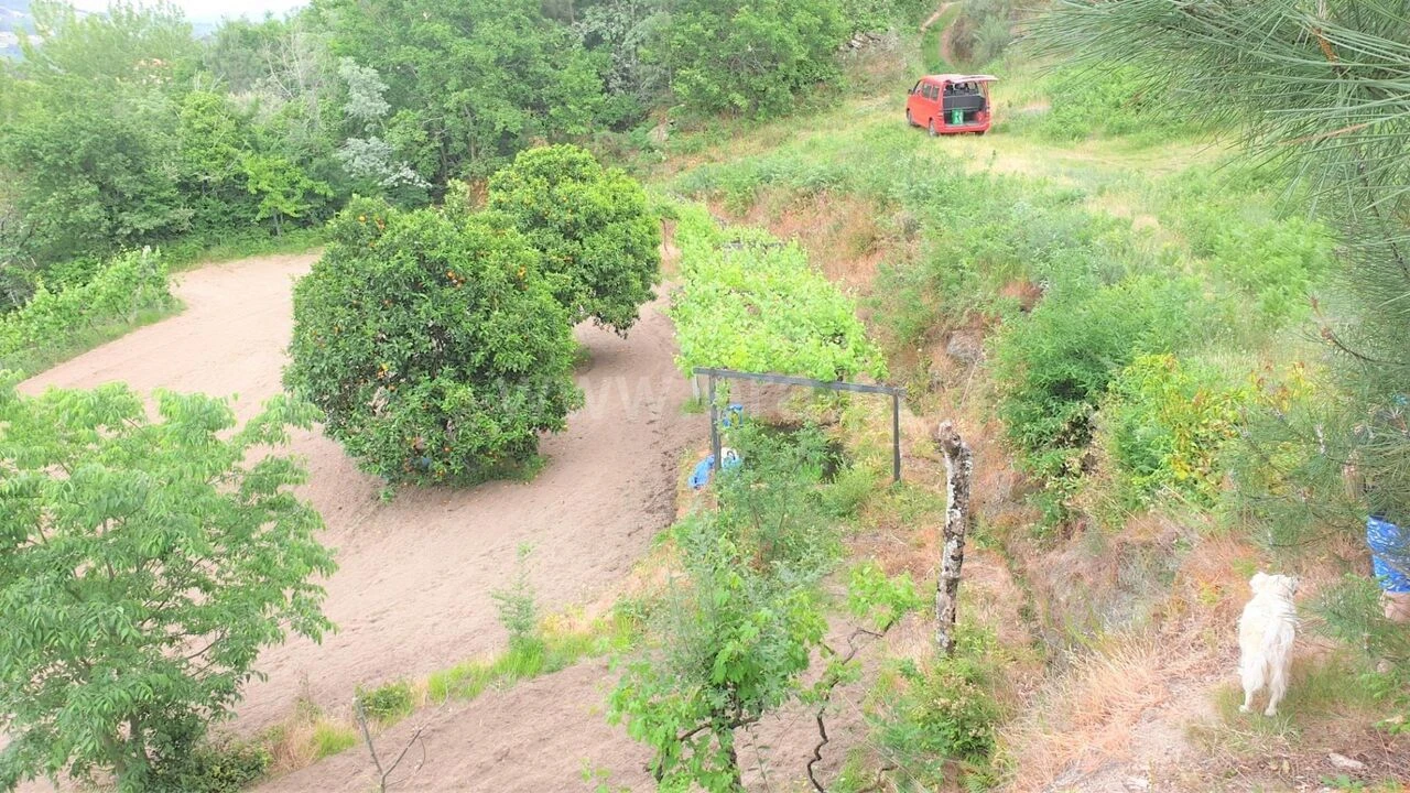 Terreno para Venda em Paredes de Viadores e Manhuncelos Foto 3