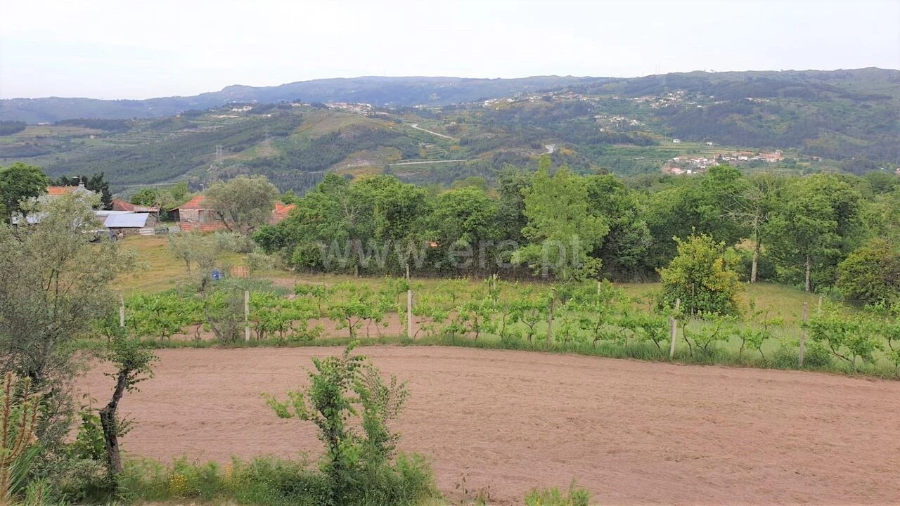 Terreno para Venda em Paredes de Viadores e Manhuncelos Foto 4