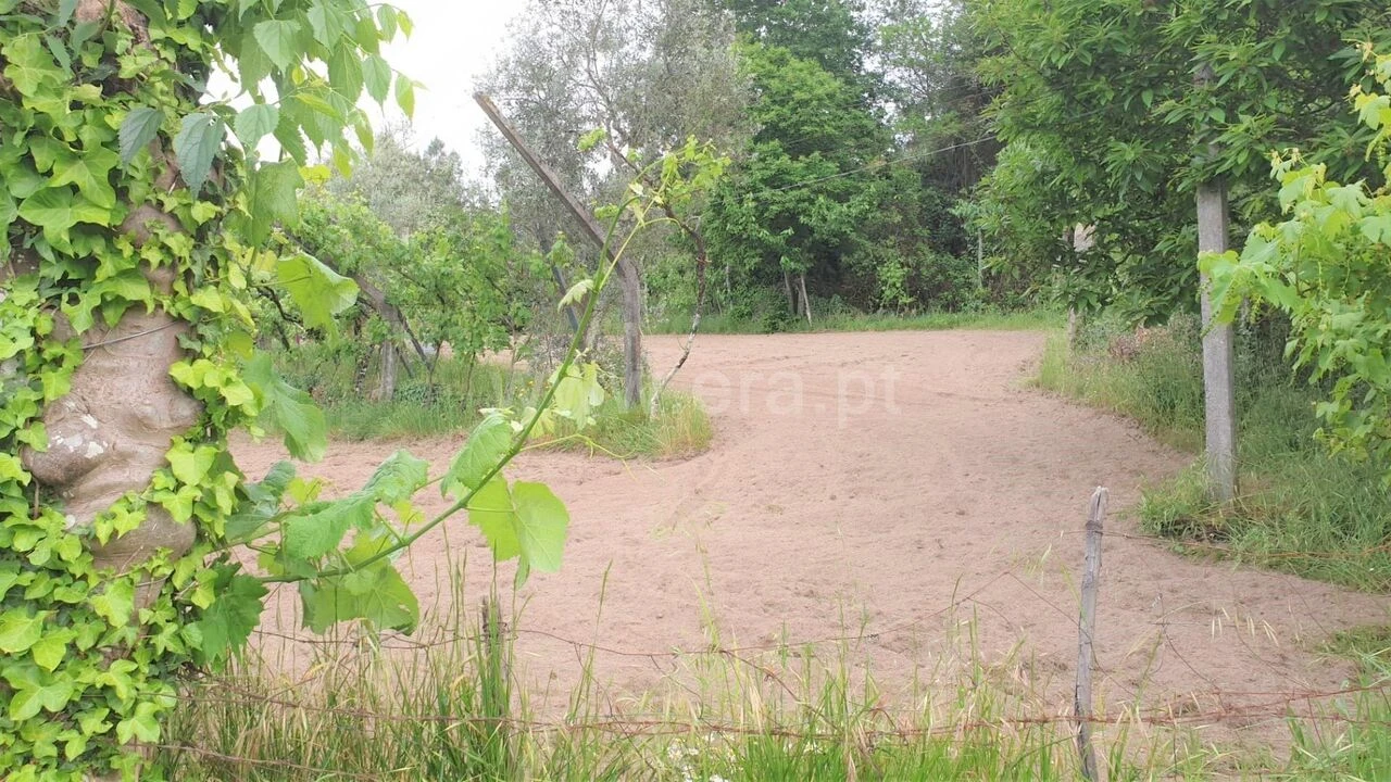 Terreno para Venda em Paredes de Viadores e Manhuncelos Foto 5