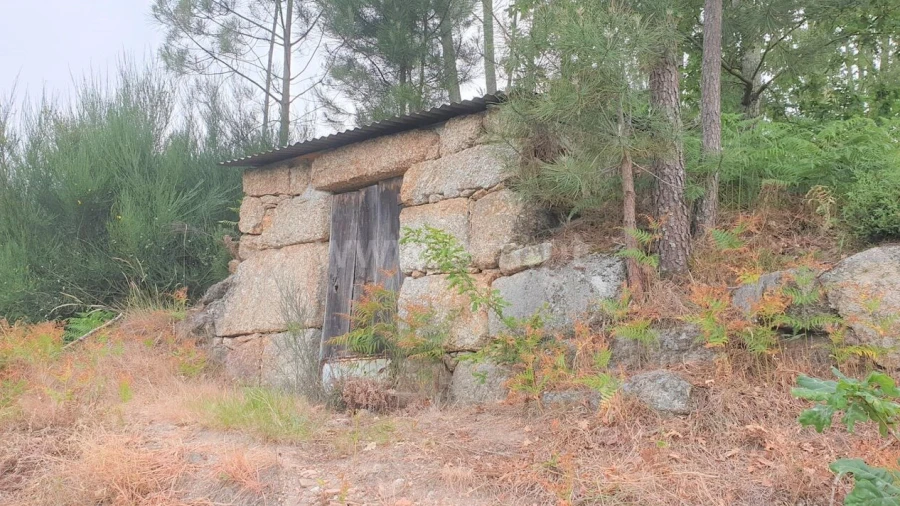 Terreno para Venda em Paredes de Viadores e Manhuncelos