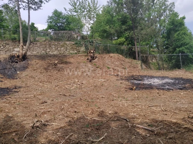 Terreno para Venda em Vila Boa de Quires e Maureles Foto 6