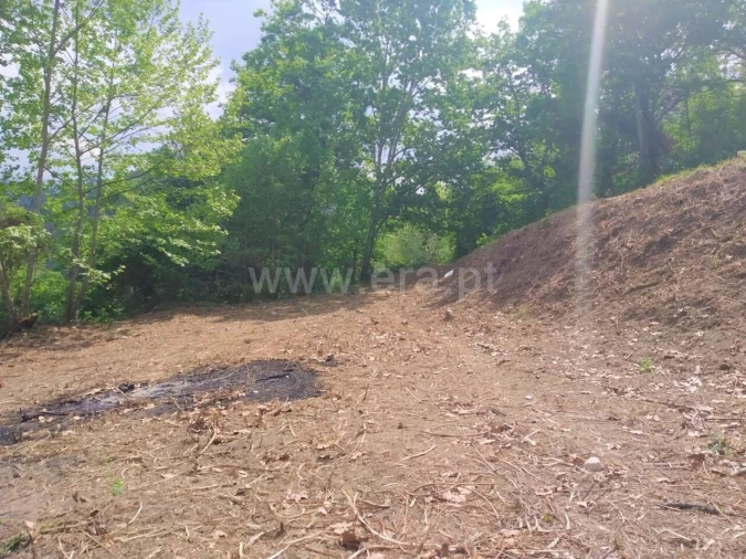 Terreno para Venda em Vila Boa de Quires e Maureles Foto 7