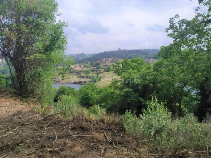 Terreno para Venda em Vila Boa de Quires e Maureles Foto 5