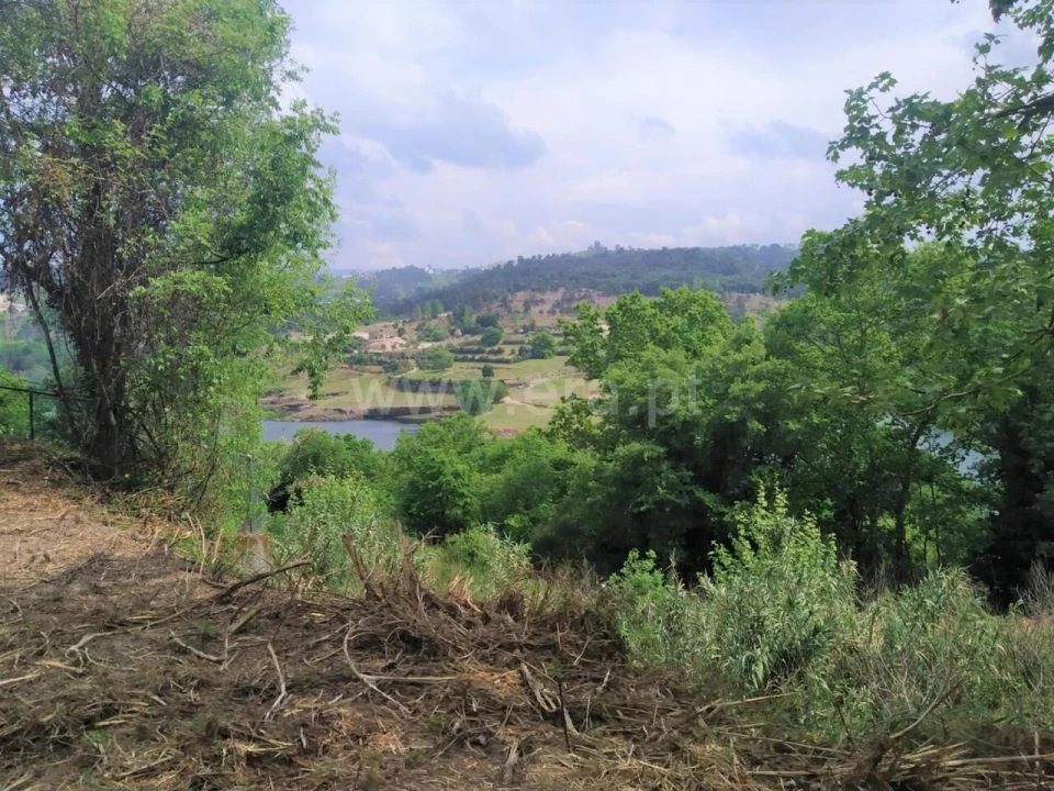Terreno para Venda em Vila Boa de Quires e Maureles Foto 5