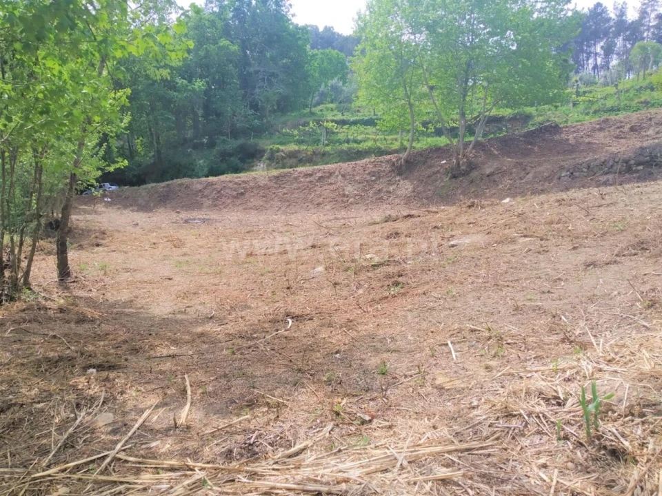 Terreno para Venda em Vila Boa de Quires e Maureles Foto 3