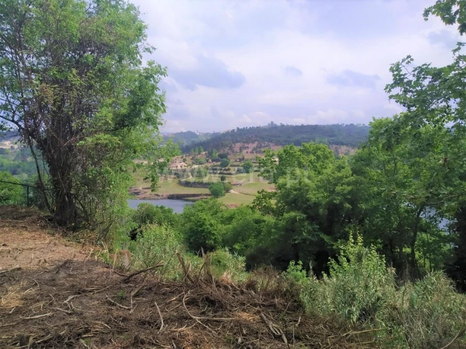 Terreno para Venda em Vila Boa de Quires e Maureles Foto 2