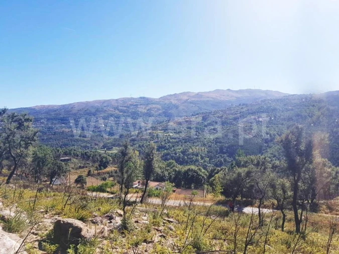 Terreno para Venda em Penhalonga e Paços de Gaiolo Foto 3