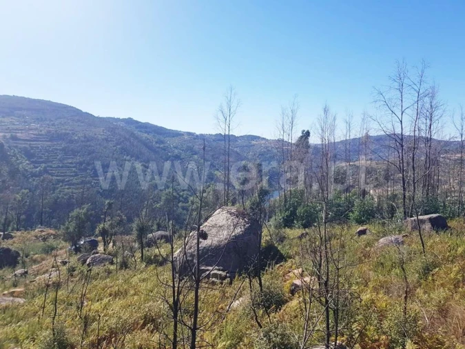 Terreno para Venda em Penhalonga e Paços de Gaiolo Foto 5