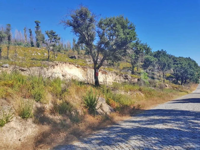 Terreno para Venda em Penhalonga e Paços de Gaiolo Foto 2