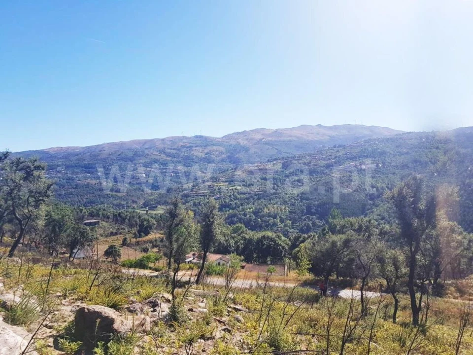 Terreno para Venda em Penhalonga e Paços de Gaiolo Foto 3