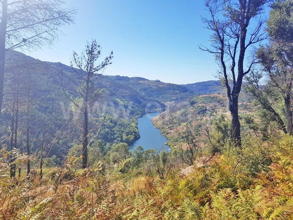 Terreno para Venda em Penhalonga e Paços de Gaiolo Foto 1