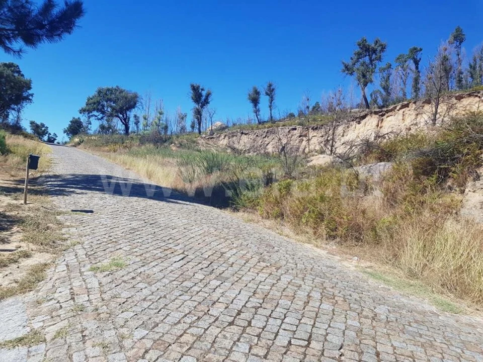 Terreno para Venda em Penhalonga e Paços de Gaiolo Foto 4