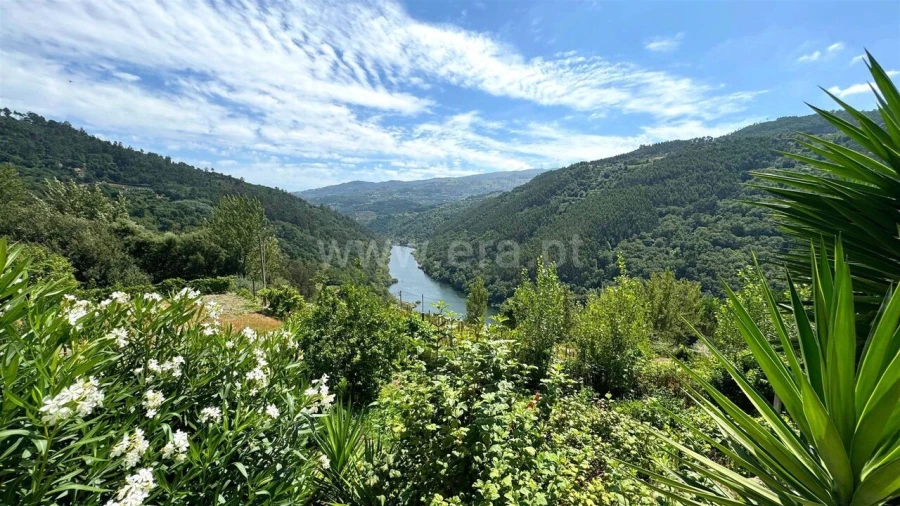 Moradia T3 para Venda em Penhalonga e Paços de Gaiolo Foto 4