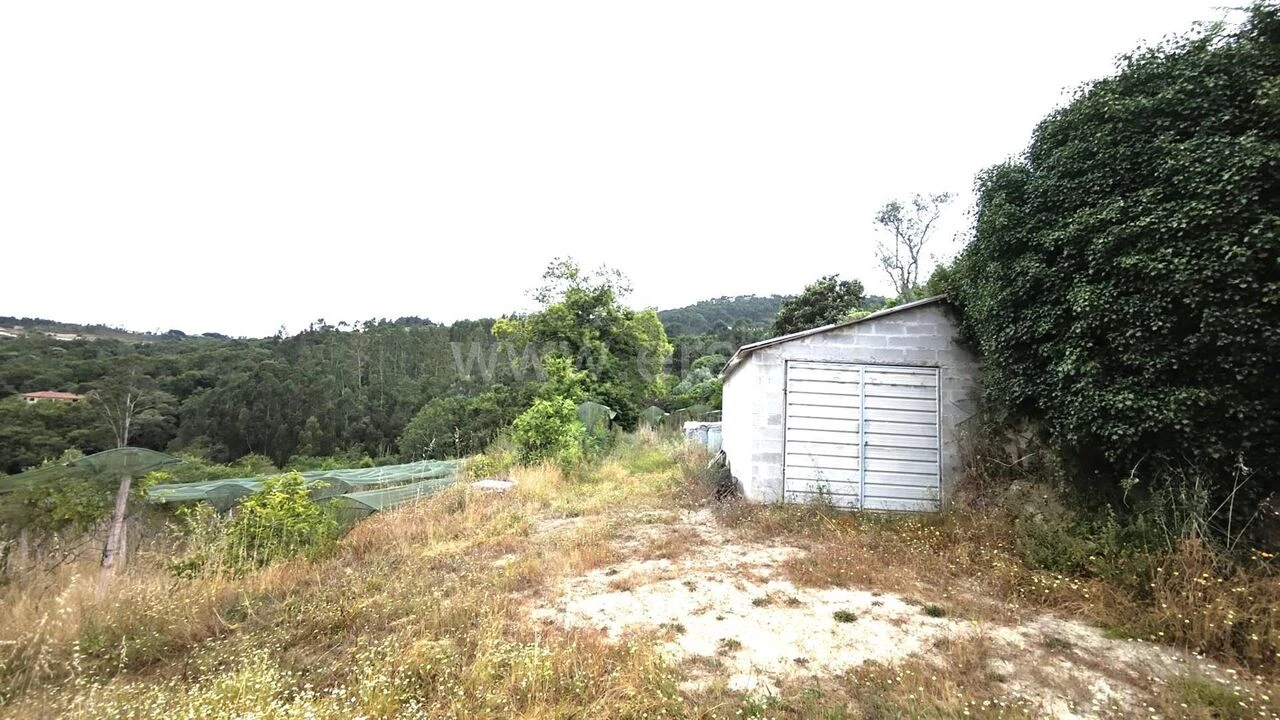 Quinta T0 para Venda em Paredes de Viadores e Manhuncelos Foto 18