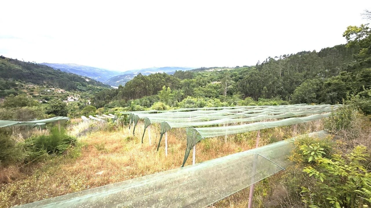 Quinta T0 para Venda em Paredes de Viadores e Manhuncelos Foto 12