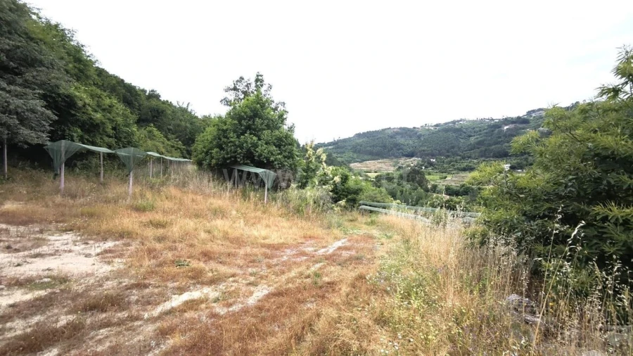 Quinta T0 para Venda em Paredes de Viadores e Manhuncelos Foto 6