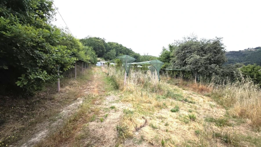 Quinta T0 para Venda em Paredes de Viadores e Manhuncelos Foto 14