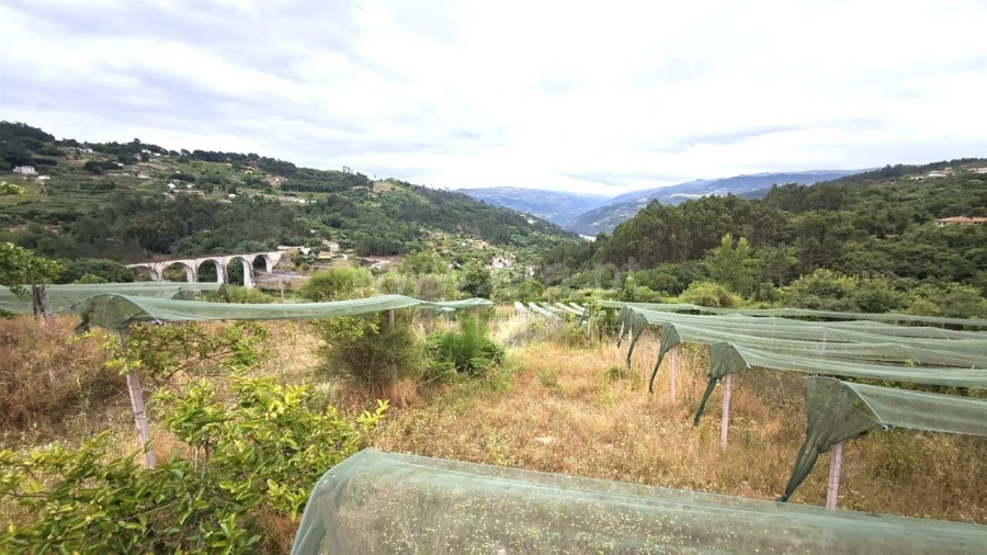 Quinta T0 para Venda em Paredes de Viadores e Manhuncelos Foto 8