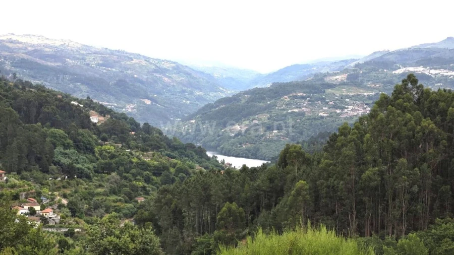Quinta T0 para Venda em Paredes de Viadores e Manhuncelos Foto 1