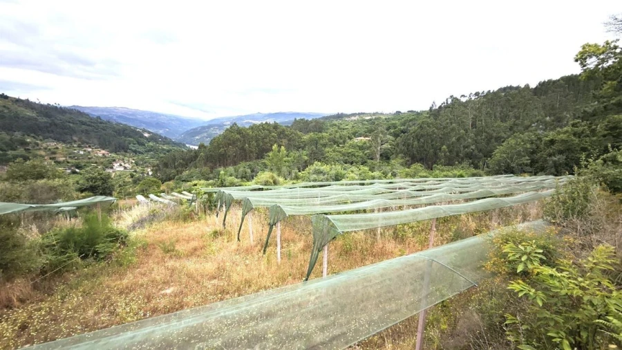 Quinta T0 para Venda em Paredes de Viadores e Manhuncelos Foto 10