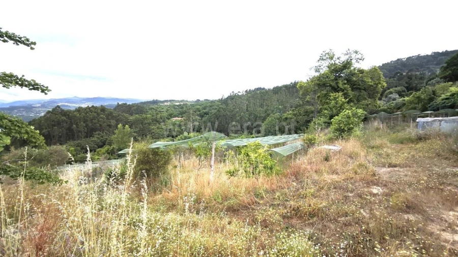 Quinta T0 para Venda em Paredes de Viadores e Manhuncelos Foto 19