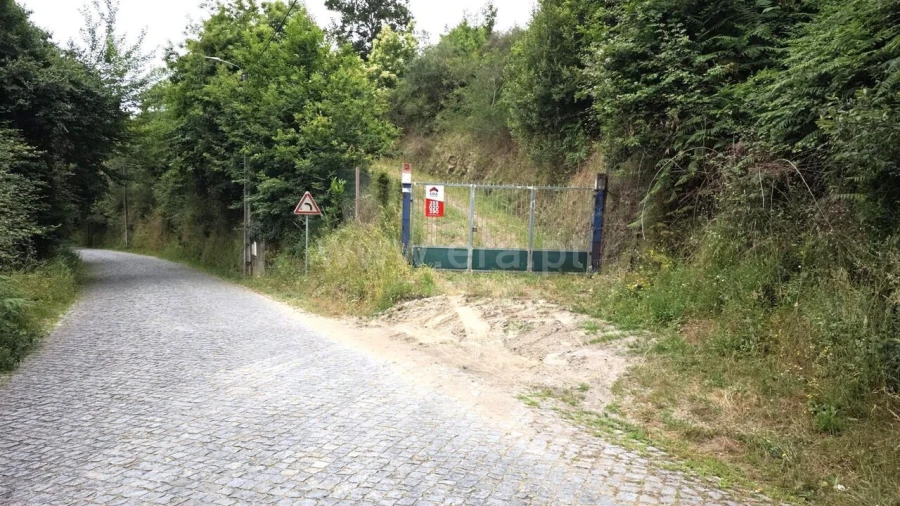 Quinta T0 para Venda em Paredes de Viadores e Manhuncelos Foto 4