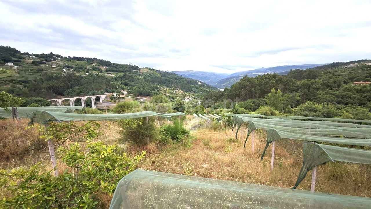 Quinta T0 para Venda em Paredes de Viadores e Manhuncelos Foto 8