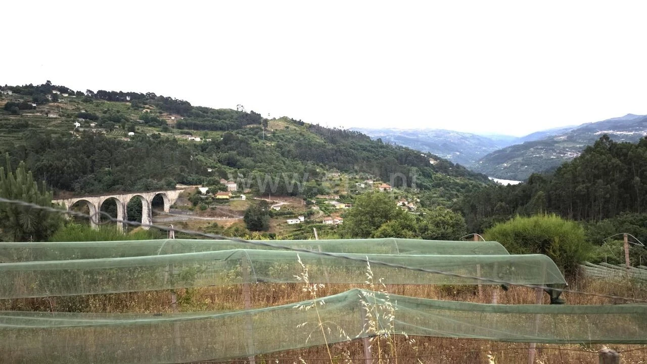 Quinta T0 para Venda em Paredes de Viadores e Manhuncelos Foto 17